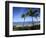 Palm Trees on the Beach, Maui, Hawaii, USA-null-Framed Photographic Print