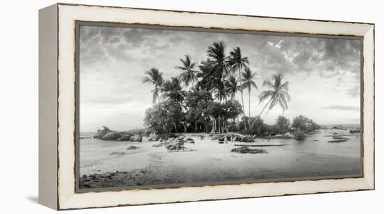 Palm Trees on the Beach, Morro De Sao Paulo, Tinhare, Cairu, Bahia, Brazil-null-Framed Premier Image Canvas