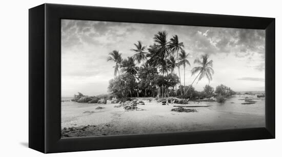 Palm Trees on the Beach, Morro De Sao Paulo, Tinhare, Cairu, Bahia, Brazil-null-Framed Premier Image Canvas