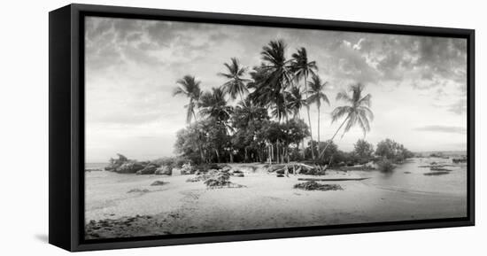 Palm Trees on the Beach, Morro De Sao Paulo, Tinhare, Cairu, Bahia, Brazil-null-Framed Premier Image Canvas