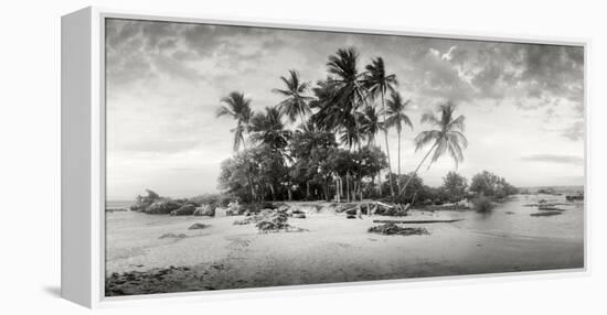 Palm Trees on the Beach, Morro De Sao Paulo, Tinhare, Cairu, Bahia, Brazil-null-Framed Premier Image Canvas