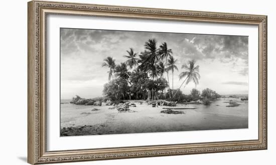 Palm Trees on the Beach, Morro De Sao Paulo, Tinhare, Cairu, Bahia, Brazil--Framed Photographic Print