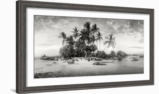 Palm Trees on the Beach, Morro De Sao Paulo, Tinhare, Cairu, Bahia, Brazil-null-Framed Photographic Print