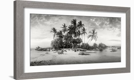 Palm Trees on the Beach, Morro De Sao Paulo, Tinhare, Cairu, Bahia, Brazil-null-Framed Photographic Print