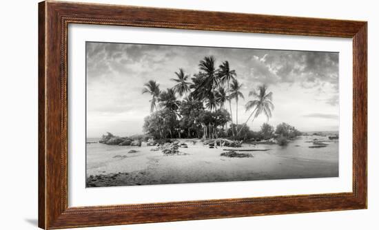 Palm Trees on the Beach, Morro De Sao Paulo, Tinhare, Cairu, Bahia, Brazil--Framed Photographic Print