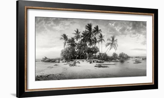 Palm Trees on the Beach, Morro De Sao Paulo, Tinhare, Cairu, Bahia, Brazil-null-Framed Photographic Print