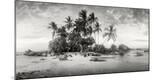 Photographic Print