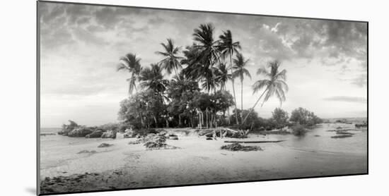 Palm Trees on the Beach, Morro De Sao Paulo, Tinhare, Cairu, Bahia, Brazil-null-Mounted Photographic Print