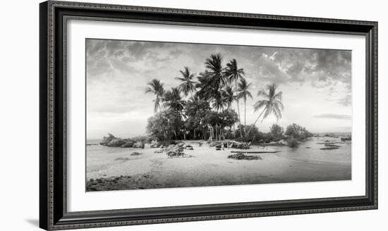 Palm Trees on the Beach, Morro De Sao Paulo, Tinhare, Cairu, Bahia, Brazil-null-Framed Photographic Print