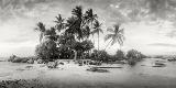 Premium Photographic Print