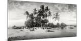 Photographic Print