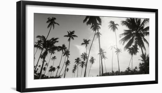 Palm Trees on the Beach, Morro De Sao Paulo, Tinhare, Cairu, Bahia, Brazil-null-Framed Photographic Print