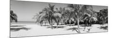 Premium Photographic Print