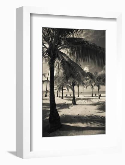 Palm Trees on the Beach, Playa Luquillo Beach, Luquillo, Puerto Rico-null-Framed Photographic Print