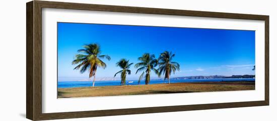 Palm Trees on the Beach, Puerto La Cruz, Anzoategui State, Venezuela-null-Framed Photographic Print