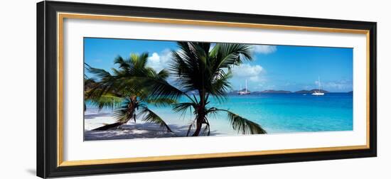 Palm Trees on the Beach, Salomon Beach, Virgin Islands National Park, St. John, Us Virgin Islands-null-Framed Photographic Print