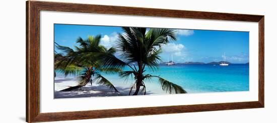 Palm Trees on the Beach, Salomon Beach, Virgin Islands National Park, St. John, Us Virgin Islands-null-Framed Photographic Print