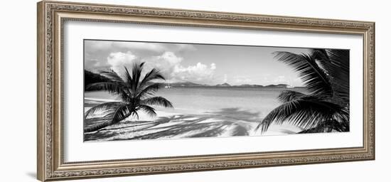 Palm Trees on the Beach, Us Virgin Islands, USA-null-Framed Photographic Print