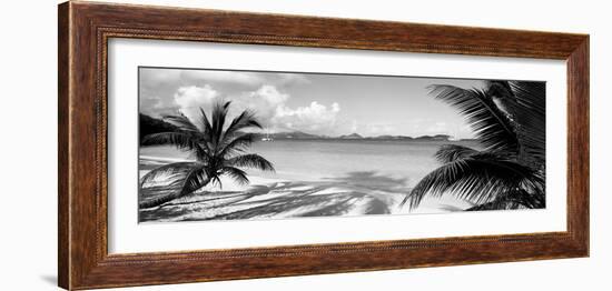 Palm Trees on the Beach, Us Virgin Islands, USA-null-Framed Photographic Print