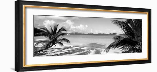 Palm Trees on the Beach, Us Virgin Islands, USA-null-Framed Photographic Print