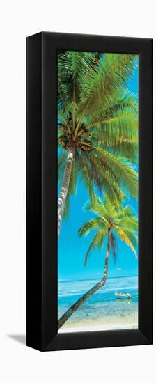 Palm trees on the beach, Viti Levu, Palm Cove, Fiji-null-Framed Premier Image Canvas
