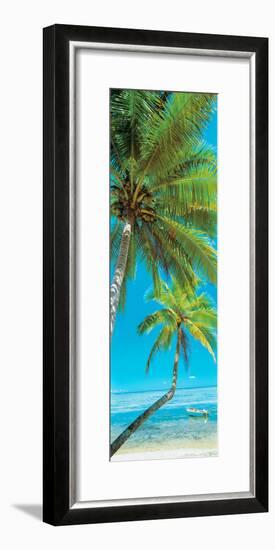 Palm trees on the beach, Viti Levu, Palm Cove, Fiji-null-Framed Photographic Print