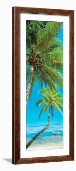 Palm trees on the beach, Viti Levu, Palm Cove, Fiji-null-Framed Photographic Print