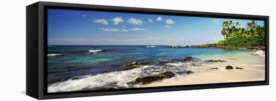 Palm Trees on the Beach, Waimea Bay, Oahu, Hawaii, USA-null-Framed Premier Image Canvas