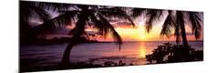 Premium Photographic Print