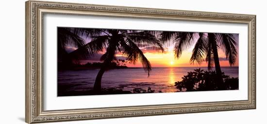 Palm Trees on the Coast, Kohala Coast, Big Island, Hawaii, USA--Framed Photographic Print