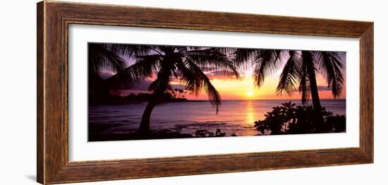 Palm Trees on the Coast, Kohala Coast, Big Island, Hawaii, USA-null-Framed Photographic Print