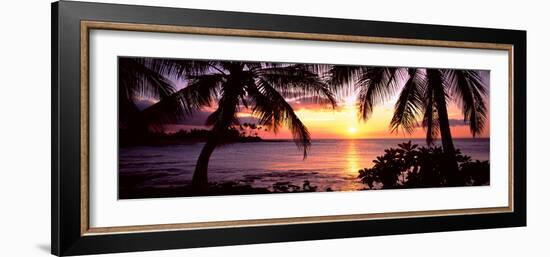 Palm Trees on the Coast, Kohala Coast, Big Island, Hawaii, USA-null-Framed Photographic Print