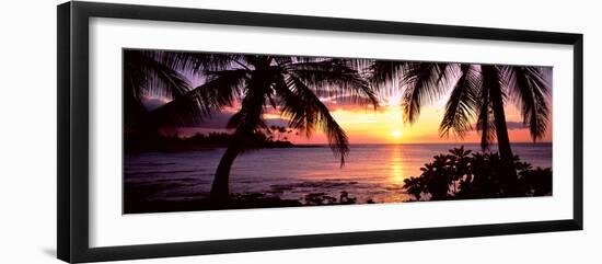 Palm Trees on the Coast, Kohala Coast, Big Island, Hawaii, USA-null-Framed Photographic Print