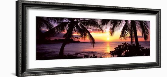 Palm Trees on the Coast, Kohala Coast, Big Island, Hawaii, USA-null-Framed Photographic Print