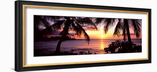 Palm Trees on the Coast, Kohala Coast, Big Island, Hawaii, USA-null-Framed Photographic Print