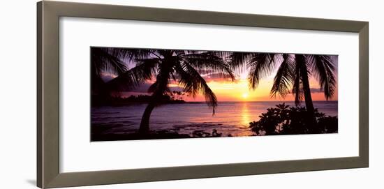 Palm Trees on the Coast, Kohala Coast, Big Island, Hawaii, USA-null-Framed Photographic Print