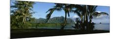 Photographic Print