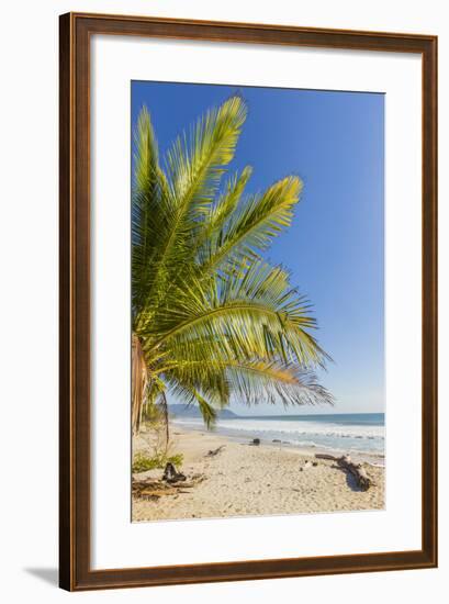 Palm Trees on This Beautiful Surf Beach Near Mal Pais, Santa Teresa, Costa Rica-Rob Francis-Framed Photographic Print