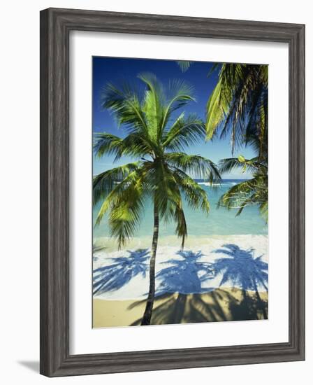 Palm Trees on Tropical Beach, Dominican Republic, West Indies, Caribbean, Central America-Harding Robert-Framed Photographic Print