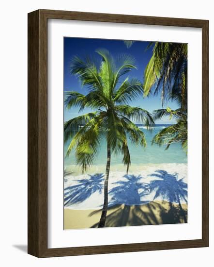Palm Trees on Tropical Beach, Dominican Republic, West Indies, Caribbean, Central America-Harding Robert-Framed Photographic Print