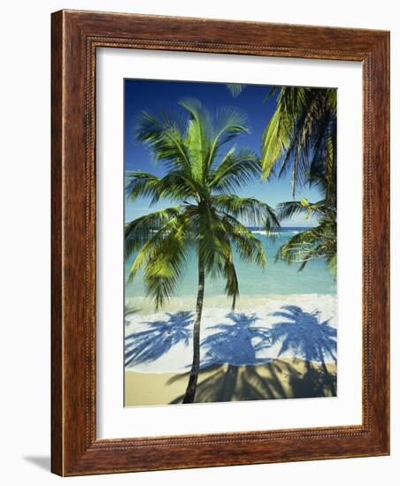 Palm Trees on Tropical Beach, Dominican Republic, West Indies, Caribbean, Central America-Harding Robert-Framed Photographic Print