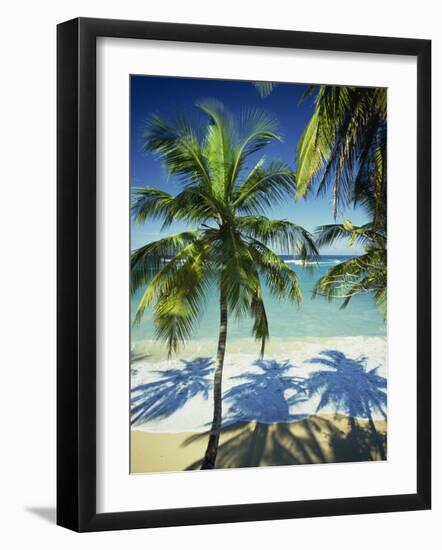 Palm Trees on Tropical Beach, Dominican Republic, West Indies, Caribbean, Central America-Harding Robert-Framed Photographic Print