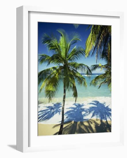 Palm Trees on Tropical Beach, Dominican Republic, West Indies, Caribbean, Central America-Harding Robert-Framed Photographic Print