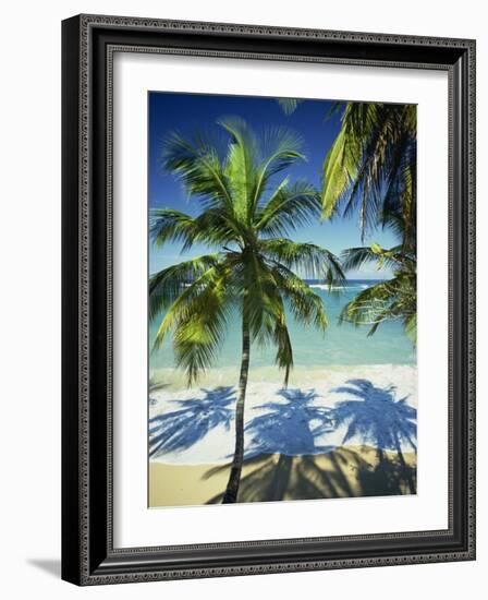 Palm Trees on Tropical Beach, Dominican Republic, West Indies, Caribbean, Central America-Harding Robert-Framed Photographic Print