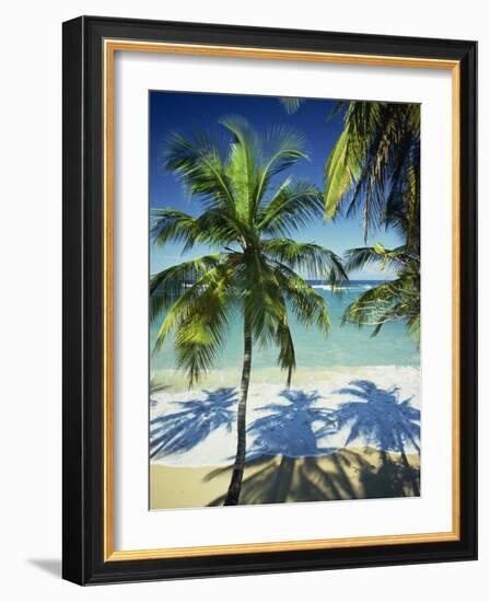 Palm Trees on Tropical Beach, Dominican Republic, West Indies, Caribbean, Central America-Harding Robert-Framed Photographic Print