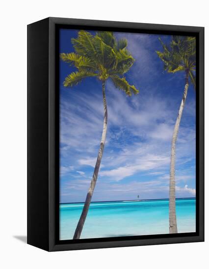 Palm Trees on Tropical Beach, Maldives, Indian Ocean, Asia-Sakis Papadopoulos-Framed Premier Image Canvas