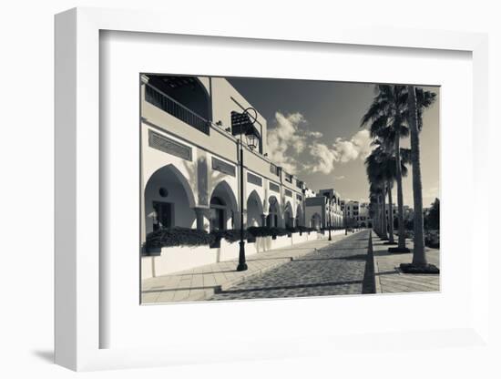 Palm trees outside buildings, Tala Harbor Development Marina, Aqaba, Jordan-null-Framed Photographic Print
