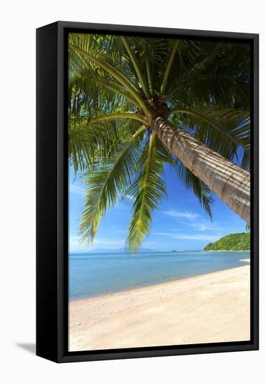 Palm Trees Overhanging Bangrak Beach, Koh Samui, Thailand, Southeast Asia, Asia-Lee Frost-Framed Premier Image Canvas