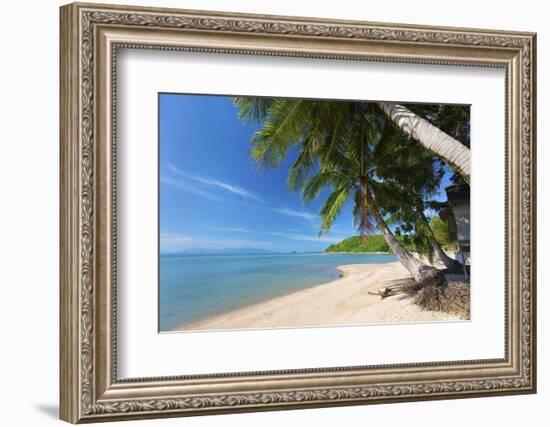 Palm Trees Overhanging Bangrak Beach, Koh Samui, Thailand, Southeast Asia, Asia-Lee Frost-Framed Photographic Print