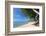 Palm Trees Overhanging Bangrak Beach, Koh Samui, Thailand, Southeast Asia, Asia-Lee Frost-Framed Photographic Print